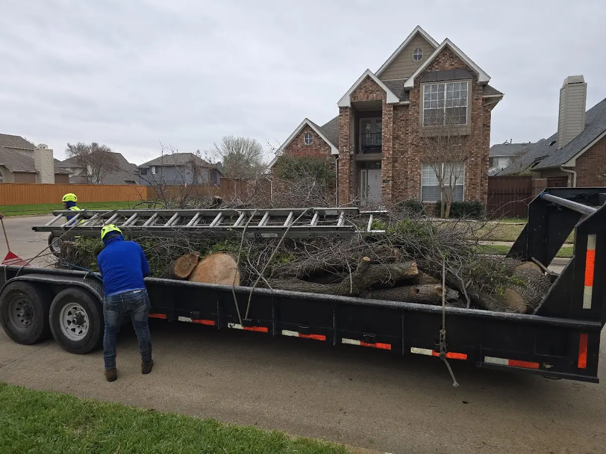 Expert Tree Fertilization with proper safety equipment in Brooksville